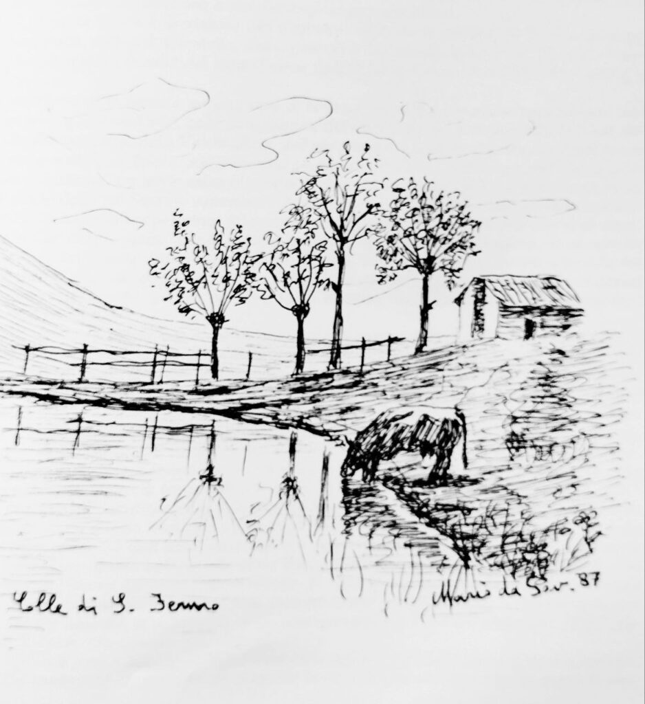 Qui aria pura e salubre, imbalsamata dalle selve di conifere, qui ampiezza d'orizzonte, benchè circondato da una corona di monti; la vista del piu' bel lago d'Italia, comode passeggiate e genialissime per tutti i gusti, popolazione leale, cortese, laboriosa, morale, religiosa: qui libertà assoluta dalle esigenze tiranne della moda, qui vasto campo per gli studi di scienze naturali: e quanto di piu' bello, di piu' poetico e romantico si possa desiderare nelle nostre provincie, tutto si riunisce a formare di questa plaga un soggiorno deliziosissimo.